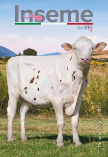 Catalogue Inseme International août 2023