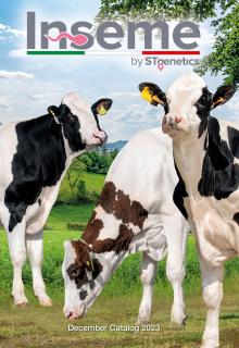 Catalogue Inseme International décembre 2023