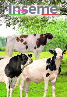 Catalogue Inseme International April 2024