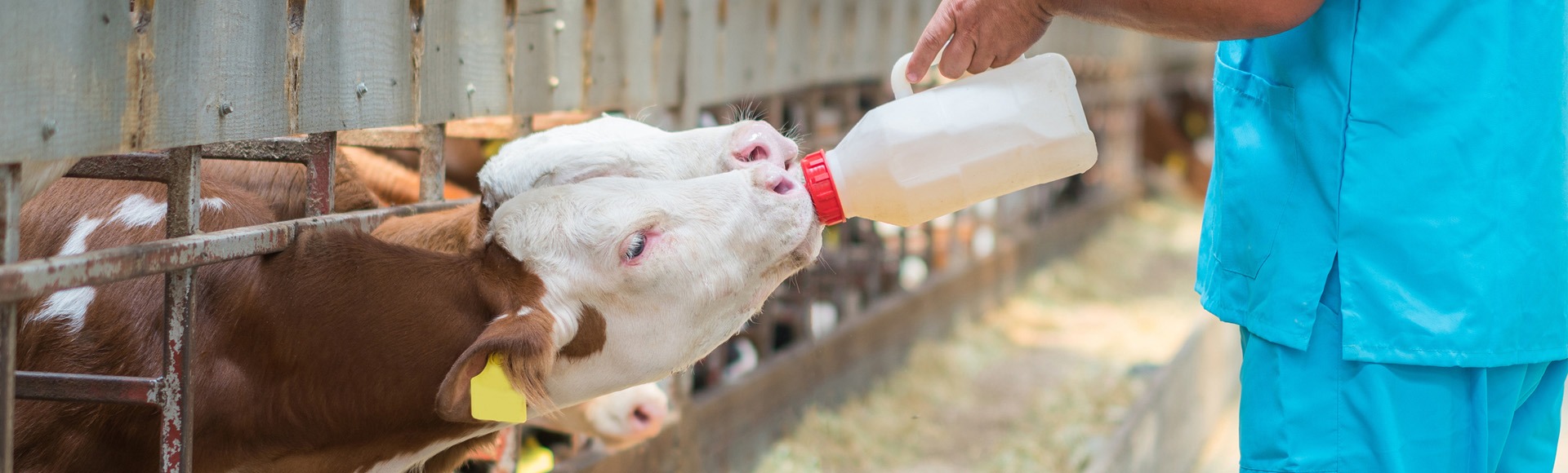 IStock 1168130475 Visual Homepage Prodotti