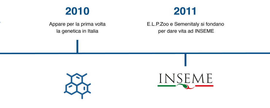 Inseme Timeline 03