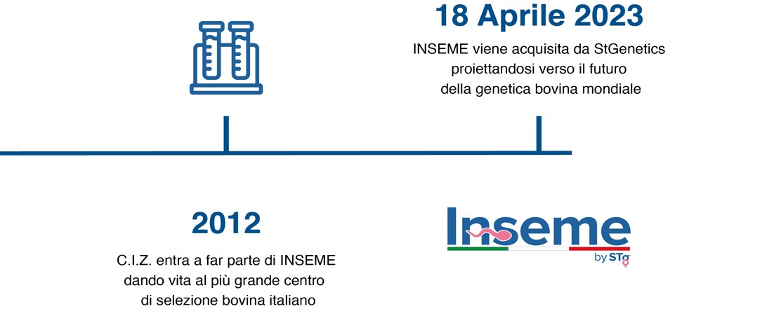 Inseme Timeline 04