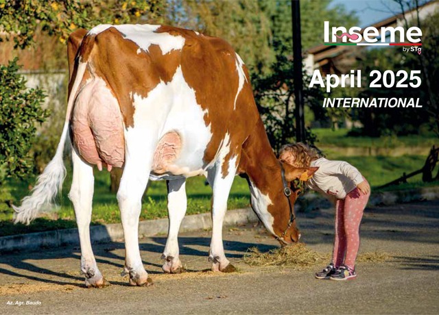 CATALOGUE INSEME INTERNATIONAL APRIL 2025